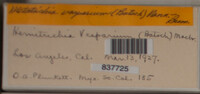 Image Associated With the Occurence